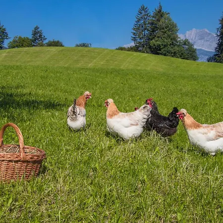 Bio-bauernhof Niederlehen Lantgård Fieberbrunn