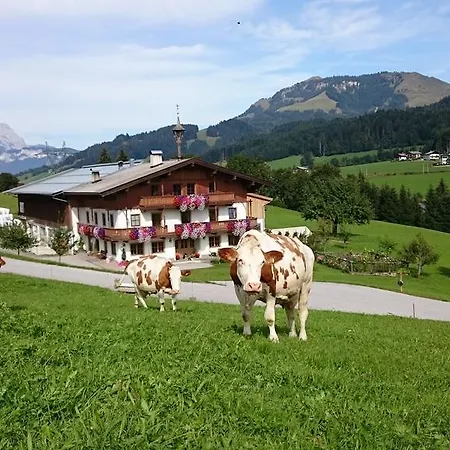Bio-bauernhof Niederlehen * Fieberbrunn