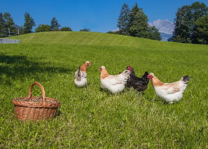 Bio-bauernhof Niederlehen مزرعة للإقامة فيبربرن